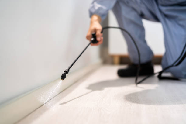 Licensed Fumigation Services service in Governors Village, NC - Nex Pest Control