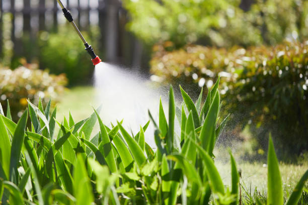 24/7 Emergency Fumigation Services experts in Governors Village, NC