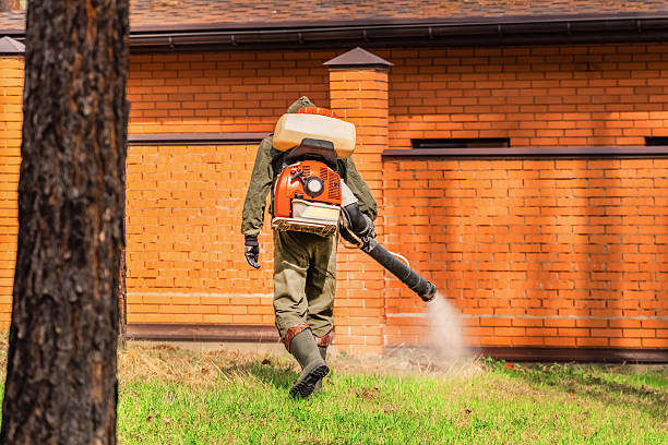 Trusted Cockroach Control service in Governors Village, NC - Nex Pest Control